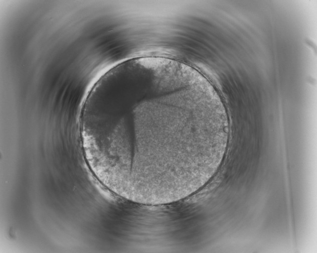 X0000094960816200712271718