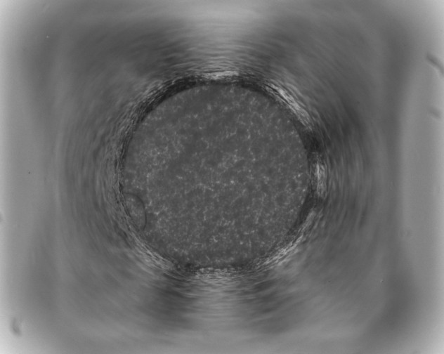 X0000094960817200712271717