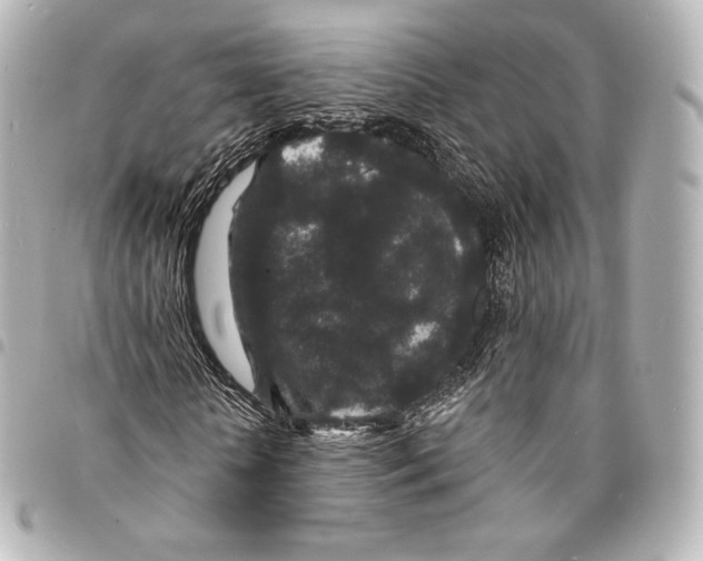 X0000094960818200712271717