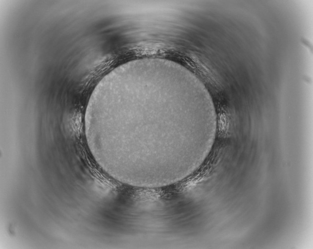 X0000094960820200712271717