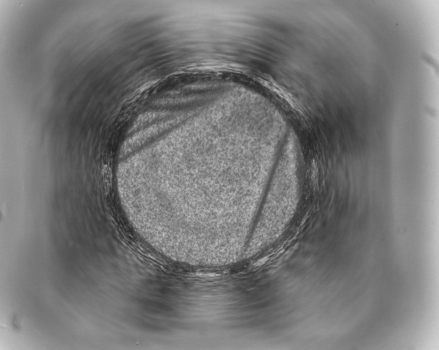 X0000094960821200712271717
