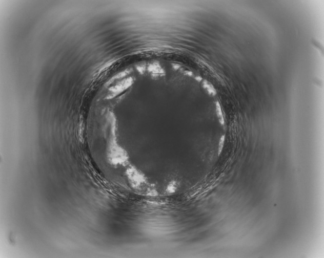 X0000094960822200712271717