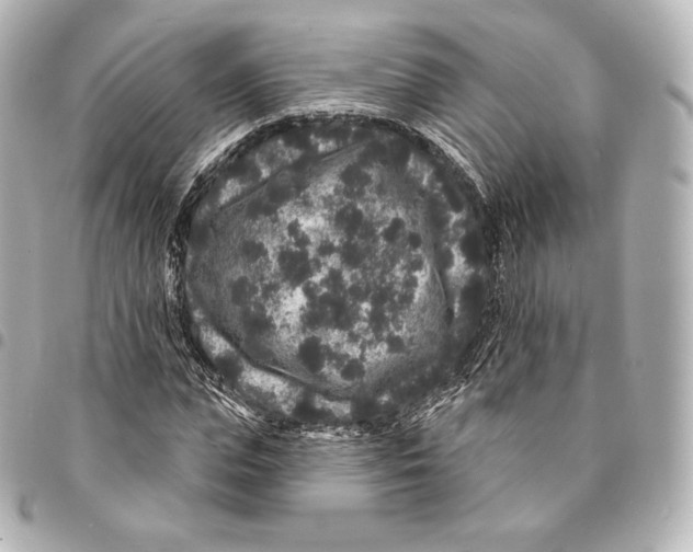 X0000094960823200712271717