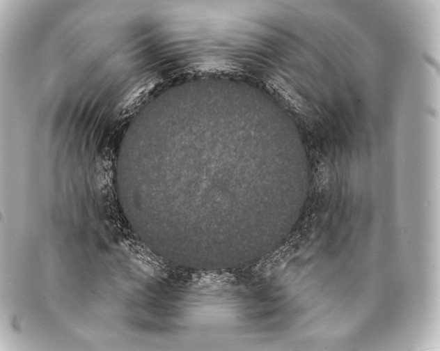X0000094960824200712271717