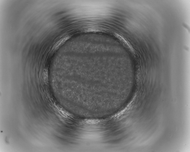 X0000094960825200712271717