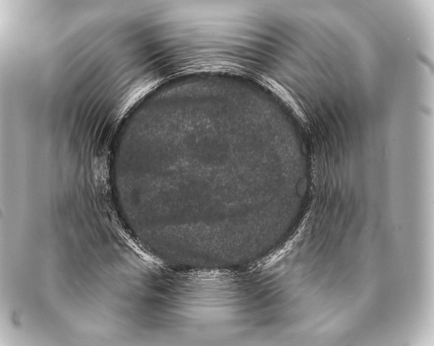 X0000094960826200712271717