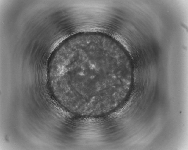 X0000094960829200712271717