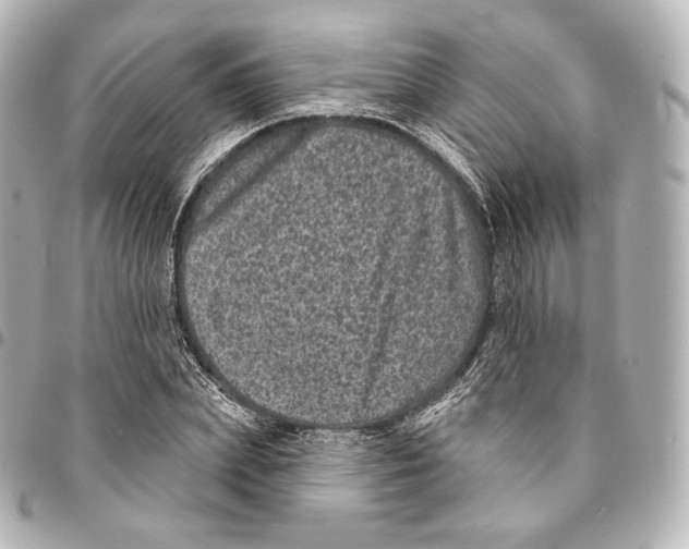 X0000094960831200712271717