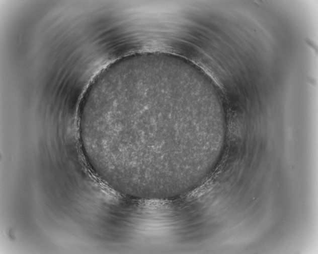 X0000094960832200712271717