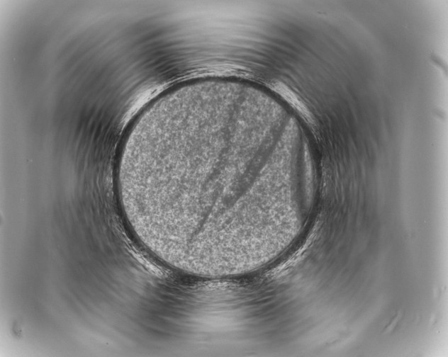 X0000094960834200712271717