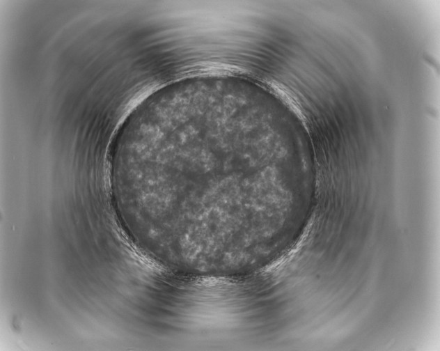 X0000094960835200712271717