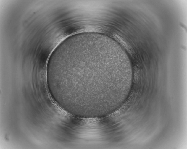 X0000094960836200712271718