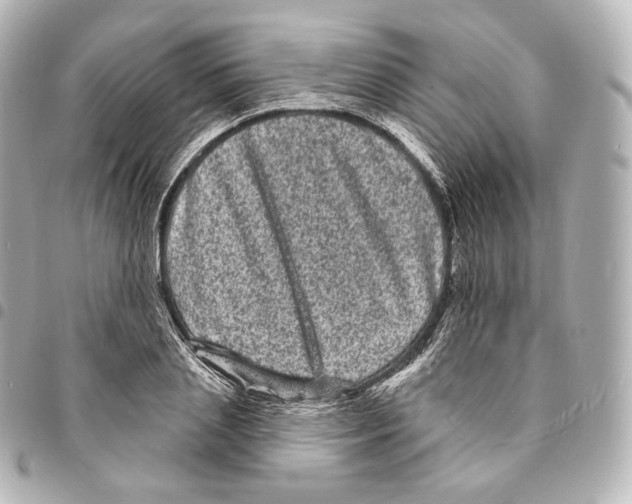 X0000094960837200712271718