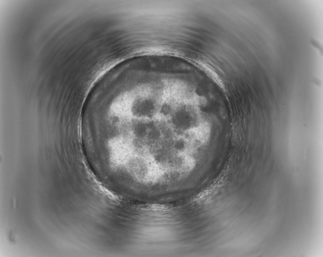 X0000094960839200712271718