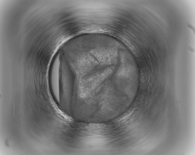 X0000094960840200712271718