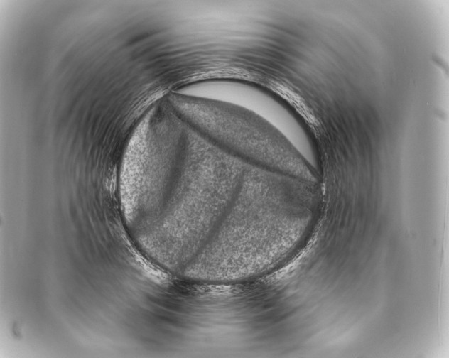 X0000094960841200712271718