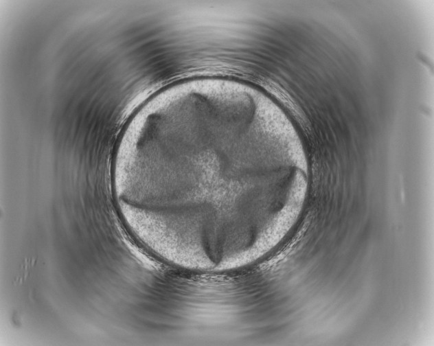 X0000094960842200712271718