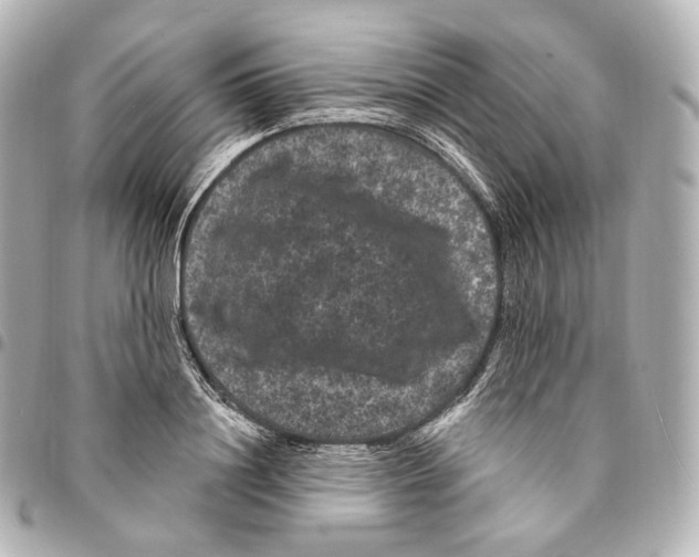X0000094960844200712271718
