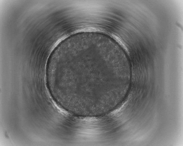 X0000094960845200712271718