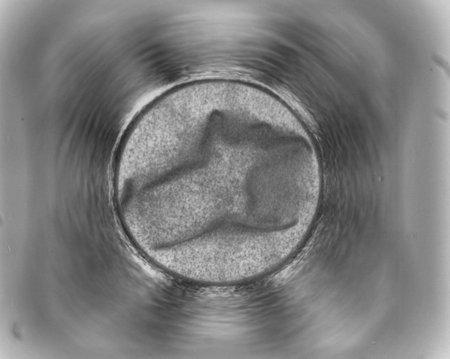 X0000094960846200712271718