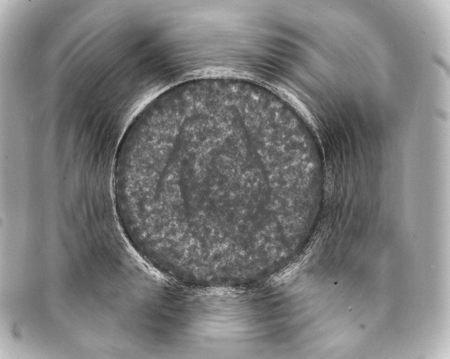 X0000094960847200712271718