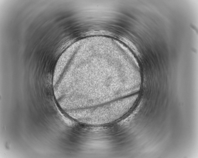 X0000094960849200712271718