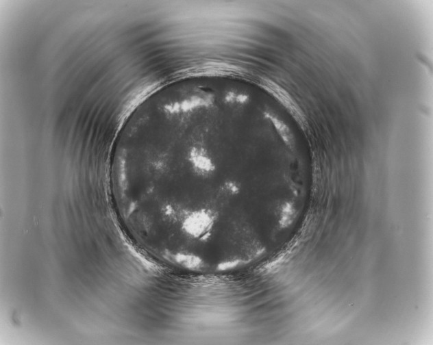 X0000094960850200712271718