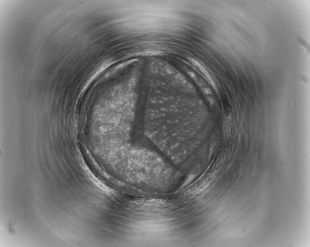 X0000094960851200712271718