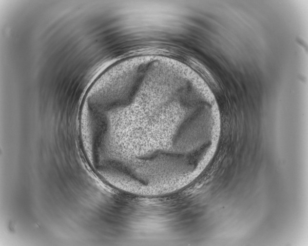 X0000094960852200712271718