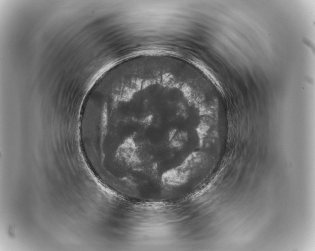 X0000094960853200712271718