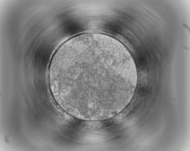X0000094960856200712271718