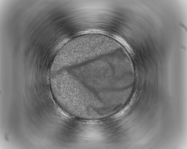 X0000094960857200712271718