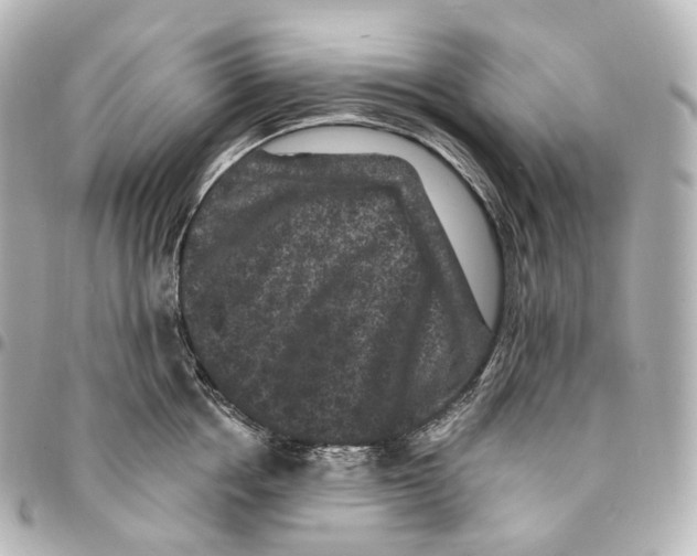 X0000094960858200712271718
