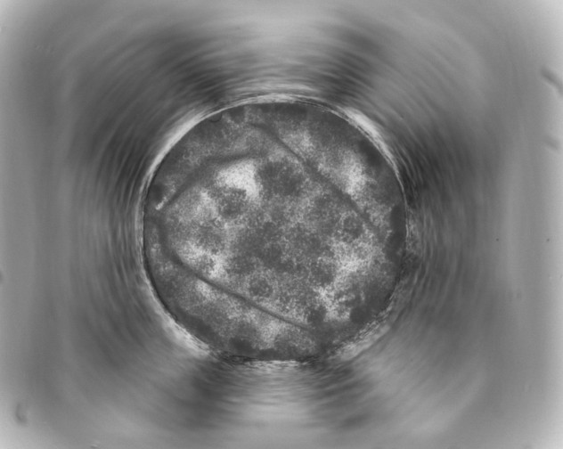 X0000094960859200712271718