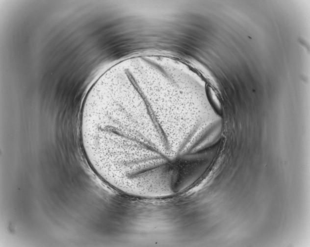 X0000094960860200712271718