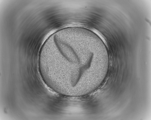 X0000094960861200712271718