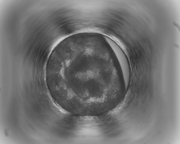 X0000094960862200712271718