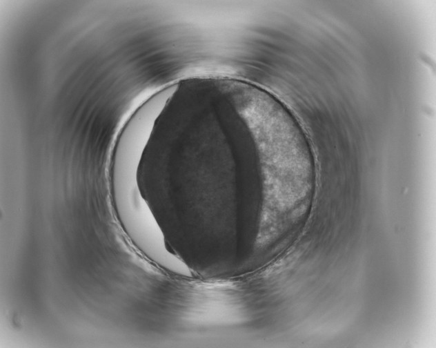 X0000094960864200712271718