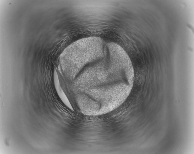 X0000094960866200712271717