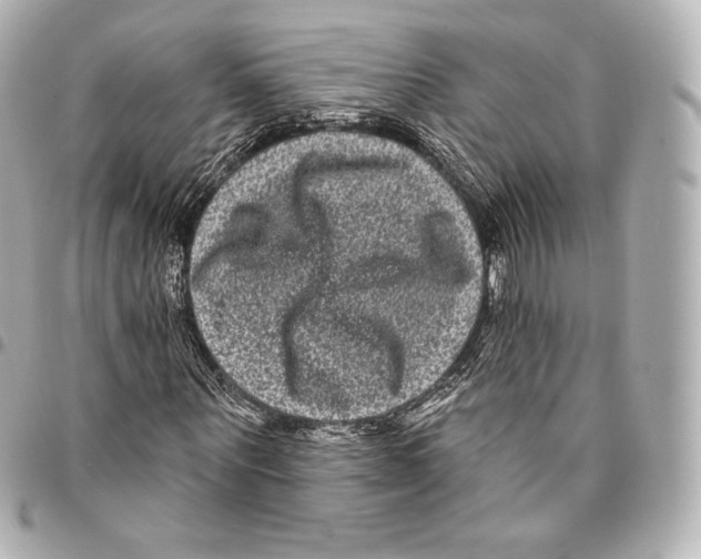 X0000094960867200712271717