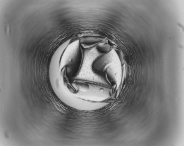 X0000094960868200712271717