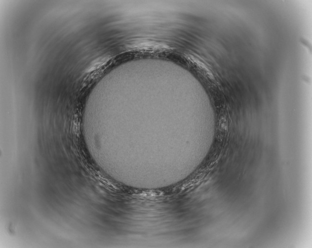 X0000094960869200712271717