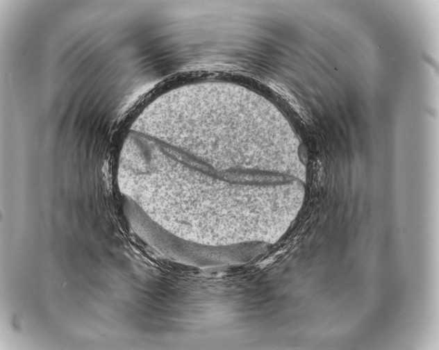 X0000094960872200712271717