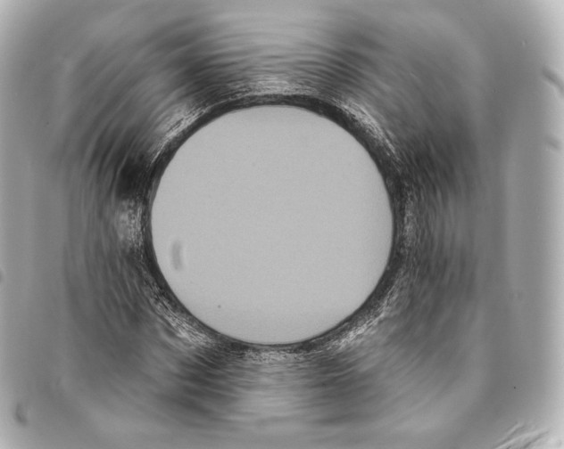 X0000094960873200712271717