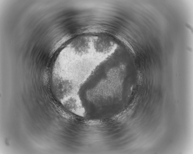 X0000094960874200712271717