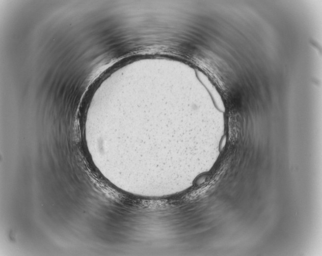 X0000094960876200712271717
