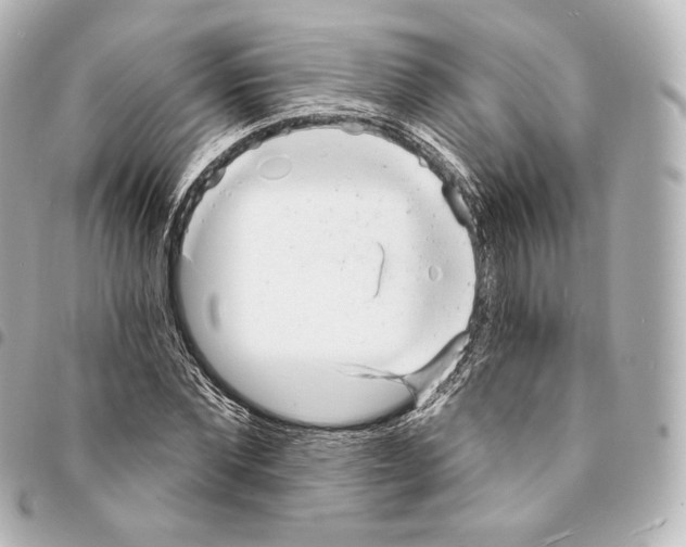 X0000094960877200712271717