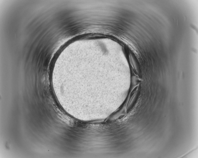 X0000094960880200712271717