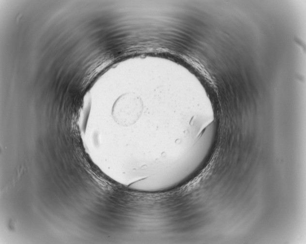 X0000094960881200712271717