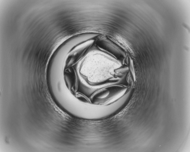 X0000094960884200712271717
